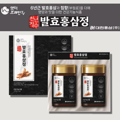 대한홍삼 천년장수 발효홍삼정 240g x 2병